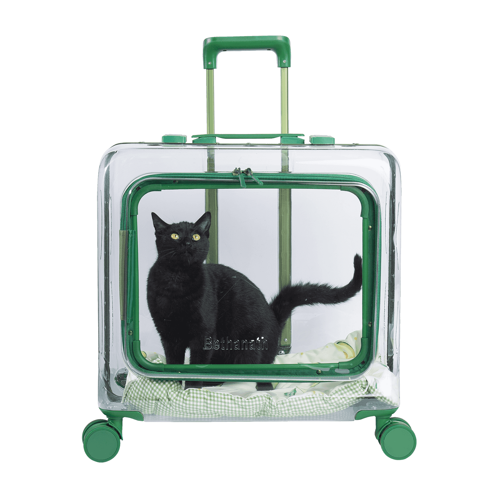 Wählen Sie eine bequeme Outdoor-Transportbox für Ihre Haustiere